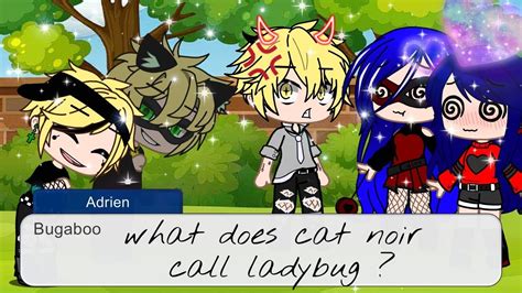 what does cat noir call ladybug